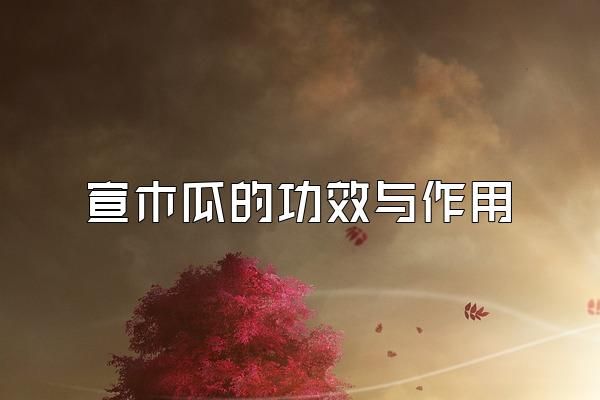 宣木瓜的功效與作用