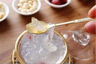 滋補(bǔ)燕窩食材：大全、配方及滋補(bǔ)品精選