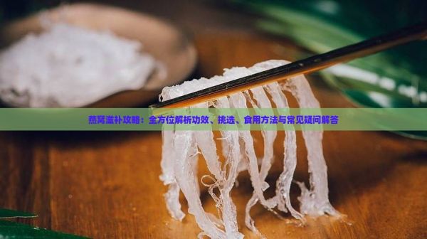 燕窝滋补攻略：全方位解析功效、挑选、食用方法与常见疑问解答