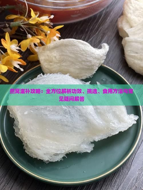 燕窝滋补攻略：全方位解析功效、挑选、食用方法与常见疑问解答