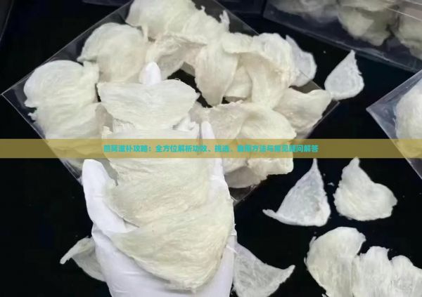 燕窝滋补攻略：全方位解析功效、挑选、食用方法与常见疑问解答
