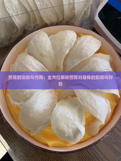 燕窩的功效與作用：全方位解析燕窩對身體的影響與好處