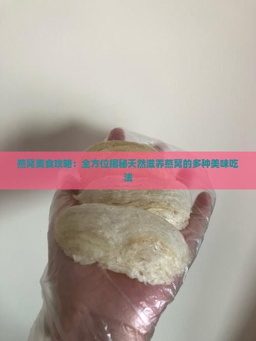 燕窩美食攻略：全方位揭秘天然滋養(yǎng)燕窩的多種美味吃法