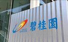 20億！碧桂園，大消息！