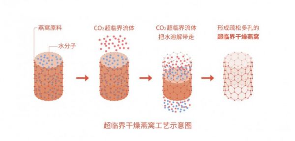 总统牌超临界干燥燕窝震撼上市，开启燕窝新“食”代