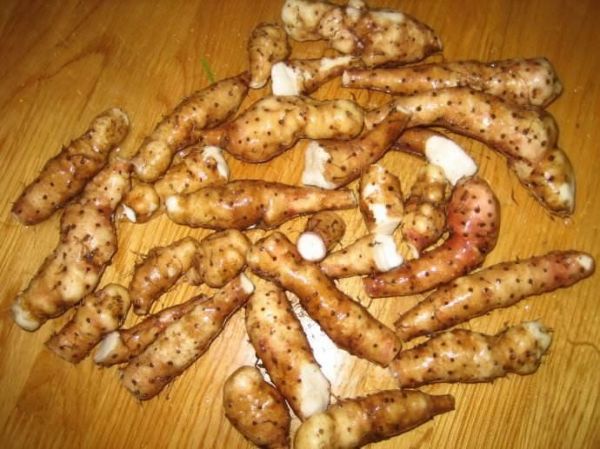 这5种素食,营养竟比肉还强
