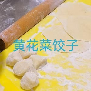 黄花菜饺子的做法 步骤1