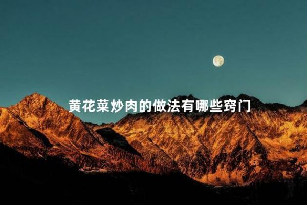 黃花菜炒肉的做法有哪些竅門
