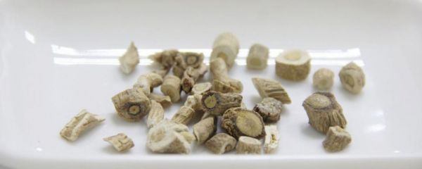 濕熱重吃什么食療 濕熱重吃什么食物 濕熱重吃什么