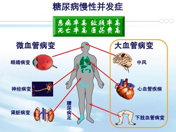 微信圖片_20240625173715.png