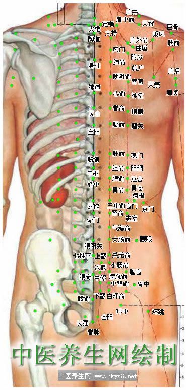 人體背部穴位圖-人體穴位圖大全-按身體部位查詢(xún)(圖文)