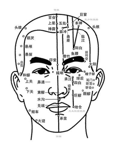 人體頭部正面穴位圖