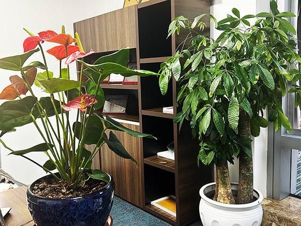 办理卫生许可证