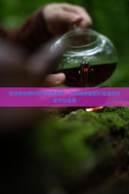 普洱茶飲用時(shí)間與效果解析：從短期感受到長期益處的全方位指南