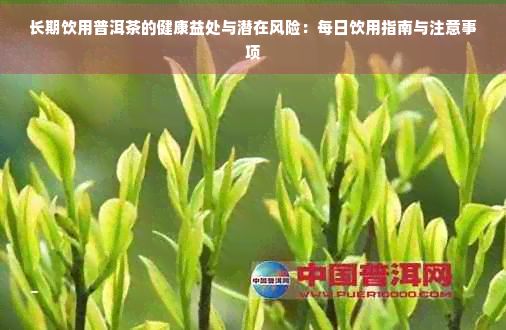 長期飲用普洱茶的健康益處與潛在風(fēng)險：每日飲用指南與注意事項