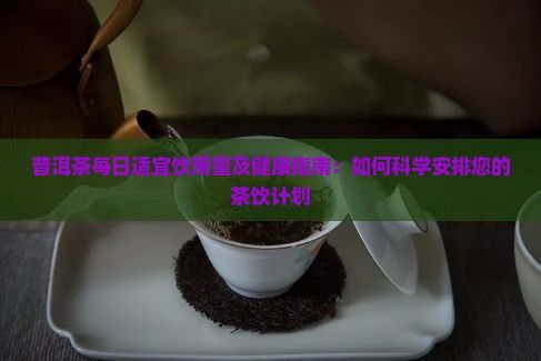 普洱茶每日适宜饮用量及健康指南：如何科学安排您的茶饮计划