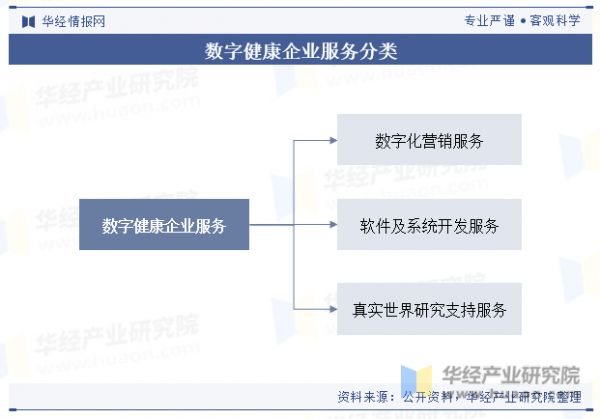 數(shù)字健康企業(yè)服務(wù)分類