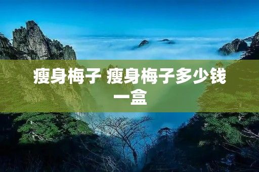 瘦身梅子 瘦身梅子多少錢一盒