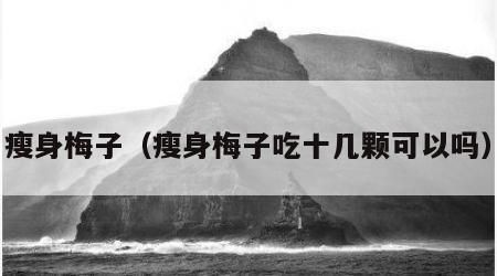 瘦身梅子（瘦身梅子吃十幾顆可以嗎）