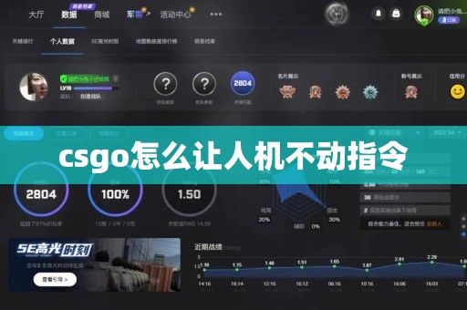 csgo怎么讓人機(jī)不動(dòng)指令