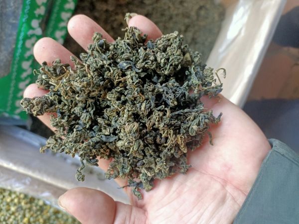 絞股藍(lán)茶的功效與作用百度百科，絞股藍(lán)茶的功效與作用