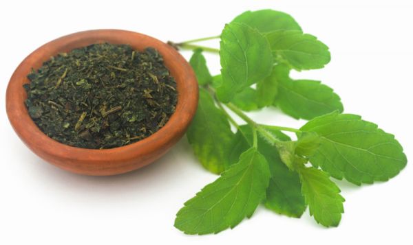 絞股藍(lán)茶葉有什么作用？絞股藍(lán)茶的營養(yǎng)和健康功效