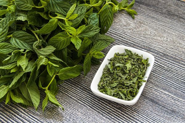 絞股藍(lán)茶葉有什么作用？絞股藍(lán)茶的營養(yǎng)和健康功效