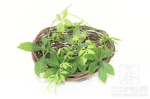 絞股藍茶用量是多少