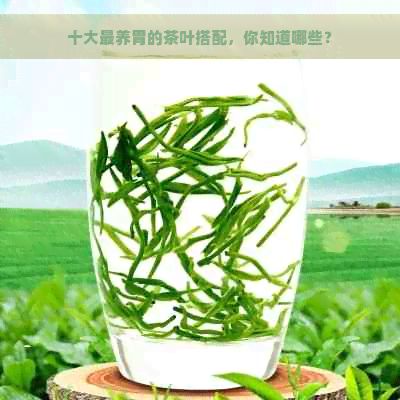 十大最養(yǎng)胃的茶葉搭配，你知道哪些？