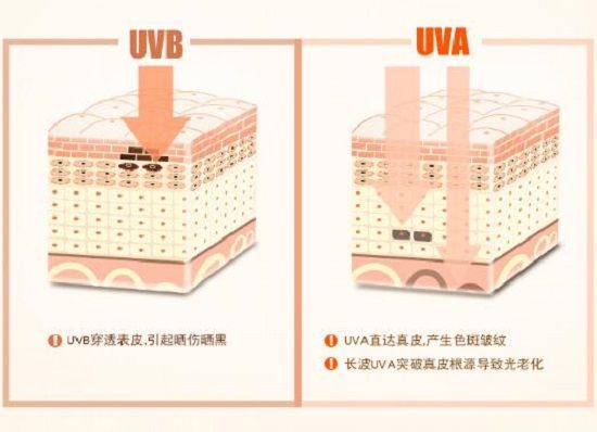 紫外线带来的皮肤伤害