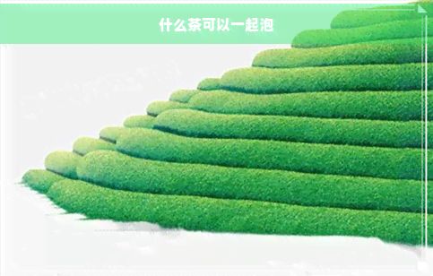 什么茶可以一起泡