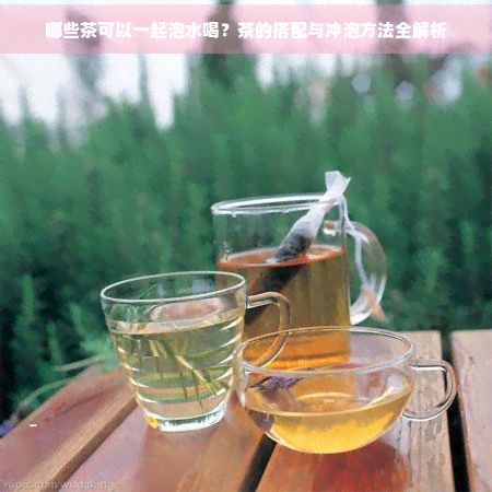 哪些茶可以一起泡水喝？茶的搭配與沖泡方法全解析