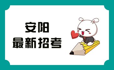 河南安陽最新招考信息