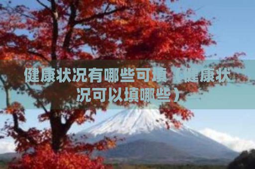 健康状况有哪些可填（健康状况可以填哪些）