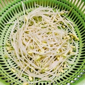 四川酸辣粉的做法步驟 第2步