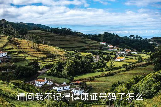 请问我不记得健康证号码了怎么