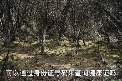 可以通过身份证号码来查询健康证吗