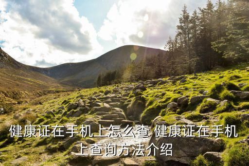 健康证在手机上怎么查 健康证在手机上查询方法介绍