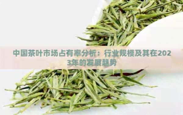 中國(guó)茶葉市場(chǎng)占有率分析：行業(yè)規(guī)模及其在2023年的發(fā)展趨勢(shì)