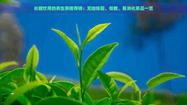 長期飲用的養(yǎng)生茶推薦榜：無 、低糖、易消化茶品一覽