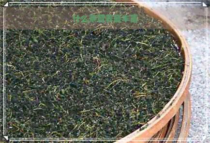 什么茶营养最丰富