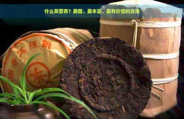 什么茶营养？最健、最丰富、最有价值的选择