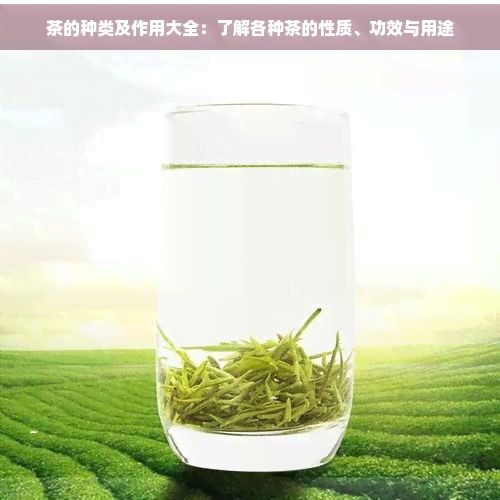 茶的種類及作用大全:了解各種茶的性質(zhì)、功效與用途