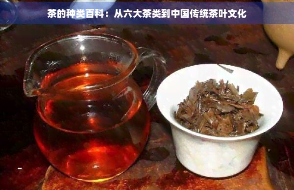 茶的種類百科:從六大茶類到中國傳統(tǒng)茶葉文化