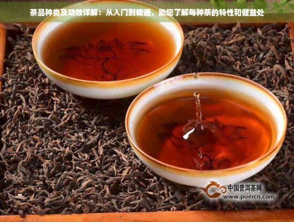 茶品種類及功效詳解:從入門到精通,助您了解每種茶的特性和健益處