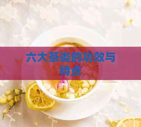 六大茶類的功效與特點