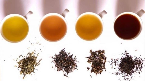 tipos de té