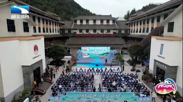 中國茶葉品牌發(fā)展報告