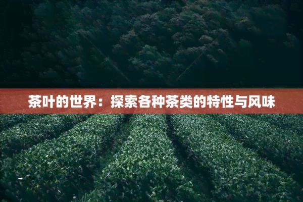 茶叶的世界:探索各种茶类的特性与风味