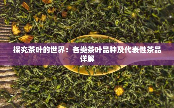 探究茶叶的世界:各类茶叶品种及代表性茶品详解